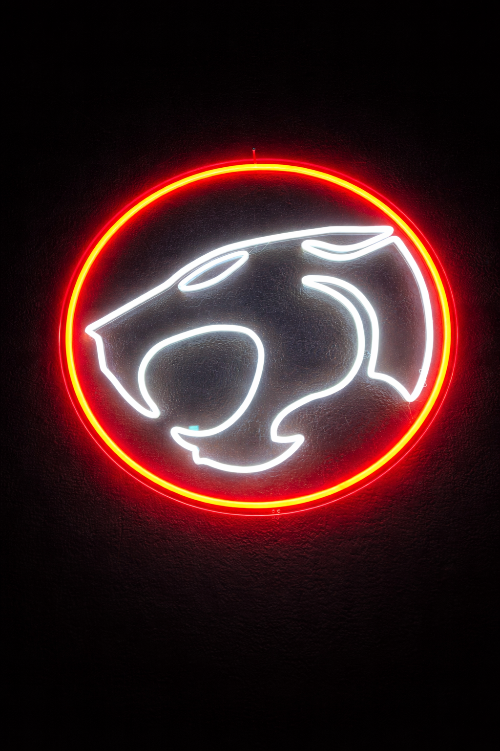 logo de ThunderCats
