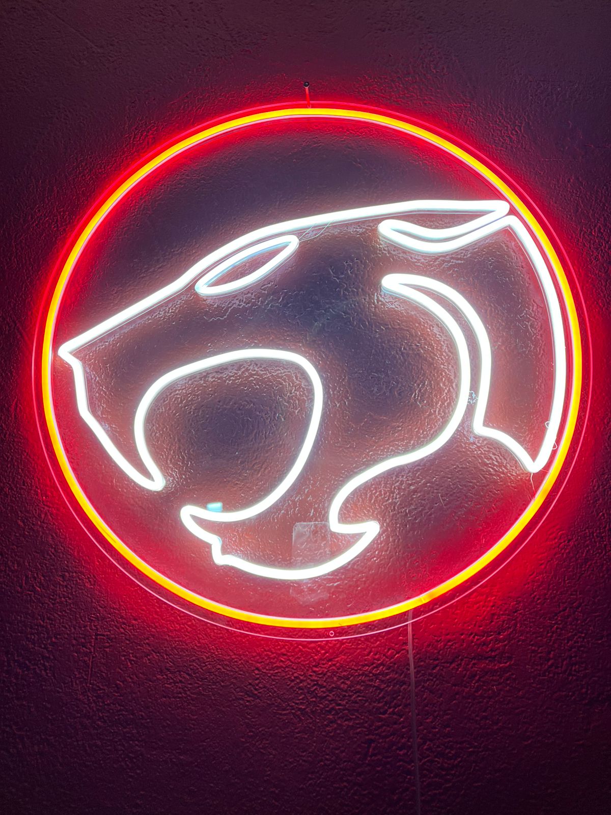 logo de ThunderCats - Imagen 2